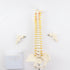 Massage Beauty Human Spine Model - Mama Lifestyles